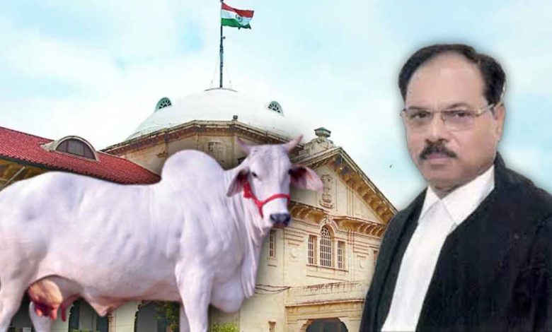 Allahbad-Highcourt-suggested-to-declare-cow-as-national-animal
